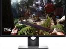 Dell SE2417HG:   