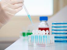 �������� ����������� �������, �������� �������� ���� � �������� ����