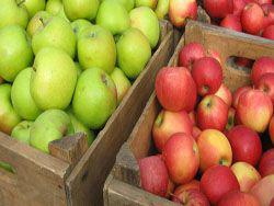 ��������� ������ ��������� �����������