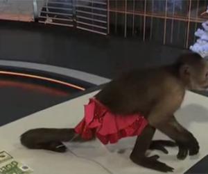 �������� � ������ ����� ����������� ���� ����� � 2016 ����