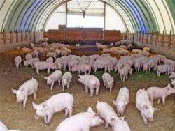 ��������� ������: ������� ���� �������