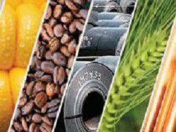 ������� ����� ������� ���� ������� ���