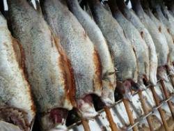 �������� ���������� ������ �� �������� ������ ���������