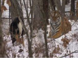 ��������� ���������� ������������ ���� � ������ � �����