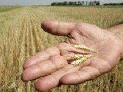 ������� ��� ����������� �����. ��������� �����