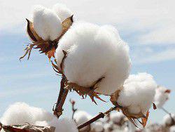 ������ ����������� ������ ������ ��������� ����������