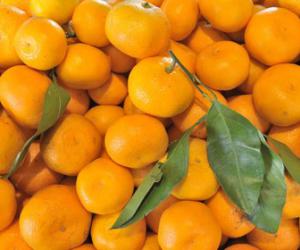 �� ����������� ���������� ������ �������� ����������