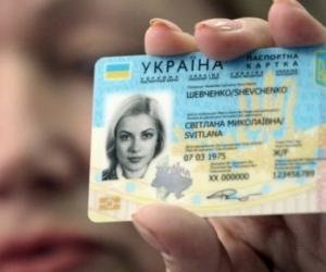           ID-