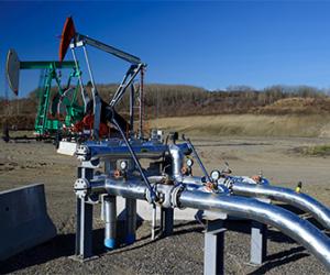 ���������� ���� �������� ������� ��� �� ����� �� 10 �������� �� �������