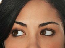 ���� ���������, ������ ��������� ����� �������� �������� � �������