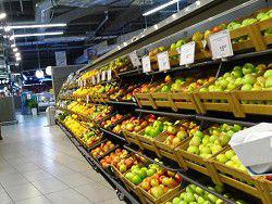 ������� � �������� ������� ��������� �� �������� �����������