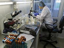 ��������� ���������������, ��������, ����� �������� �� ���� ����� ������