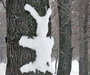    :        
