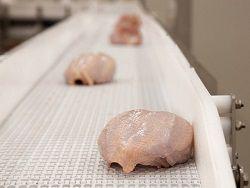 � �������� ������ 23 ����� ��������������� ���� �����