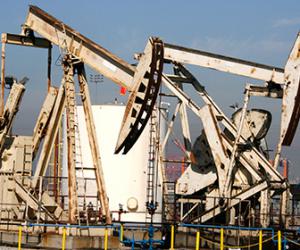 ���� ����� ���� ���������� �� �������� ��13����