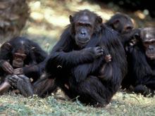 �������� � �������� ������������ ���������� ��������� � �����