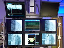 ���� ����� ����� �������, ����� ������������ ��������� ������