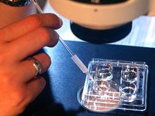 ������������� ���������� ������� �������� ������, ������� ������������