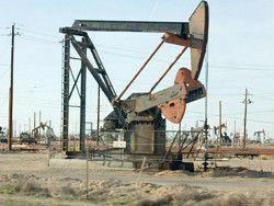 ���� �� ����� ����� ����� ���� ��� ������ ��������