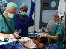 ������ ������, ��� ����� ������������ ���� ��������� ��� ���������