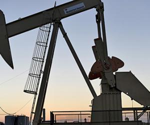 ���� ����������� ���������� ������ �� �����