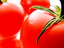 ���������� ������ ������� � ������������ ���-���������