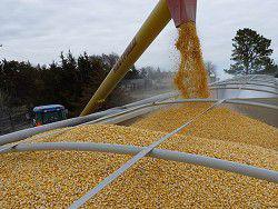 ������� ����������� ����� � �������� ������������