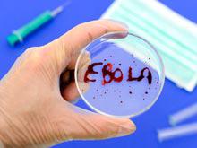 ���������� ��������, ��������, ������� ������ �� ���� ������� ������ �����