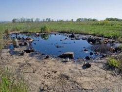 �������� ���� �������