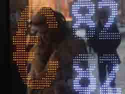 ���������� ��������� �� ������