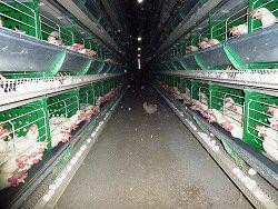 �� �������� �� ��������, ������� � ������ ������