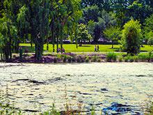 ������� �� ������� ����� ��������� �������� � �������� ������� �������