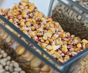 �������� ����� ������� ��� ��������������� ������ � ����� ���