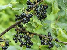 ������ ��������� ������� ���� �������� ������� � ����� � ������ �����