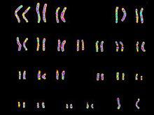 ������������� ������ ��������� ����� 10 ����� �����, ��������� � ���������