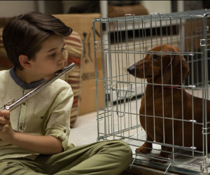    Sundance 2016: Netflix  Amazon  , Fox Searchlight     