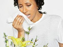 ������, ��� ������ �������� ��������, ������ ������ �������, ������� �����