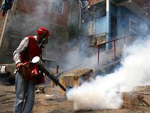 ������������ ��������� ������� �������� ������ ����