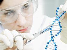 �������� ������, �� ���� ������� ������� ����������