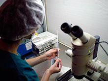 ����� ������� �������, ����������� ��������� ���������, ����� �����