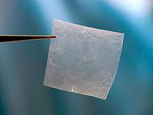 ������� �������� ����� ���������� � ������������ ������