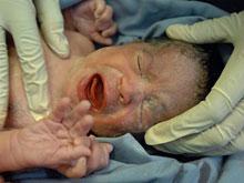 �������� ��������, ��� ����������� �����-������� � ��������� ����������