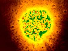 ���������� ��������� ������ � ������� ������� ����� � ��� �������, ������� �����