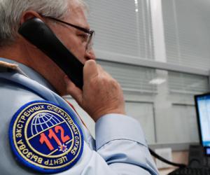   12            4  ...