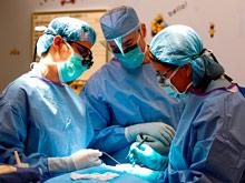 �����-������ ���� �������� ������� ���������