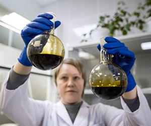 ������ ������ �� ������� ����� ����� ��42���������