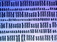 �������� ���������� � ����� �� ����� ���� ����� ������� �����������