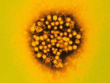 ����� �������� ������� ���������� �� �������������� �����������