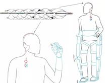 ���� ������ �������� ������������������� � �������