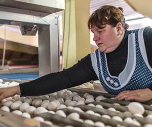 ������� ��������������� ����������� ������